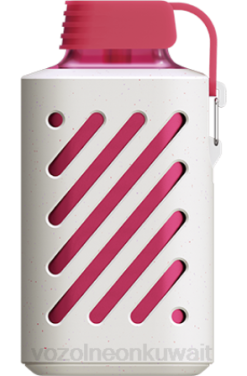 Vozol سعر - VOZOL GEAR 10000 جليد الخوخ 866B301