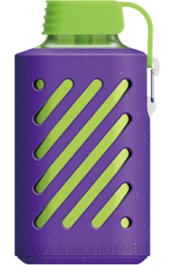 Vozol سعرها - VOZOL GEAR 10000 جليد التوت 866B315