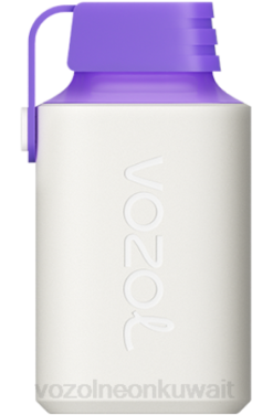 Vozol سعر فيب - VOZOL GEAR 600 طاقة التوت الغابات 866B350