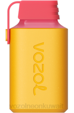 Vozol سعرها - VOZOL GEAR 600 كيوي باشن فروت جوافة 866B351
