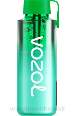 Vozol سعر - VOZOL NEON 10000 ميامي النعناع 866B229