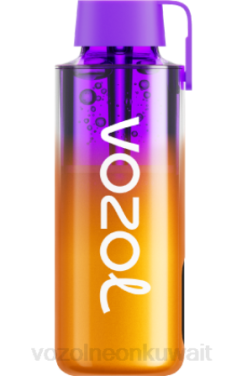 Vozol الكويت - VOZOL NEON 10000 التوت المختلط 866B235