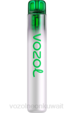 Vozol سعر - VOZOL NEON 800 موهيتو الليمون 866B274