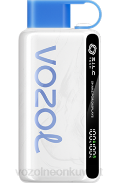 Vozol سعر - VOZOL STAR 9000/12000 عاصفة التوت 866B22