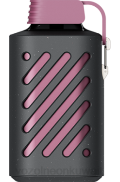 Vozol Vape Kuwait - VOZOL GEAR 10000 باشن فروت توت العليق اليوسفي 866B300