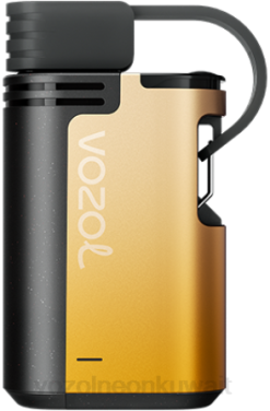 Vozol Vape Kuwait - VOZOL GEAR 4000ج/6000 مانجو باشن فروت 866B327