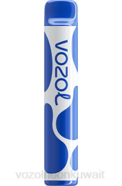Vozol Vape Kuwait - VOZOL JOYGO 600 عاصفة التوت 866B390