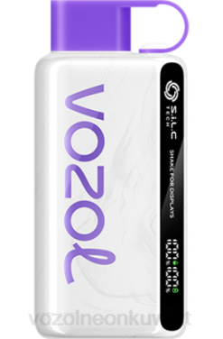 Vozol Vape Kuwait - VOZOL STAR 9000/12000 التوت البري، المانجو، الجريب فروت 866B39